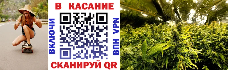 Какие есть наркотики Курлово АМФЕТАМИН  A-PVP  ГАШИШ  МЕФ  Кодеин  МАРИХУАНА  КОКАИН  Галлюциногенные грибы 